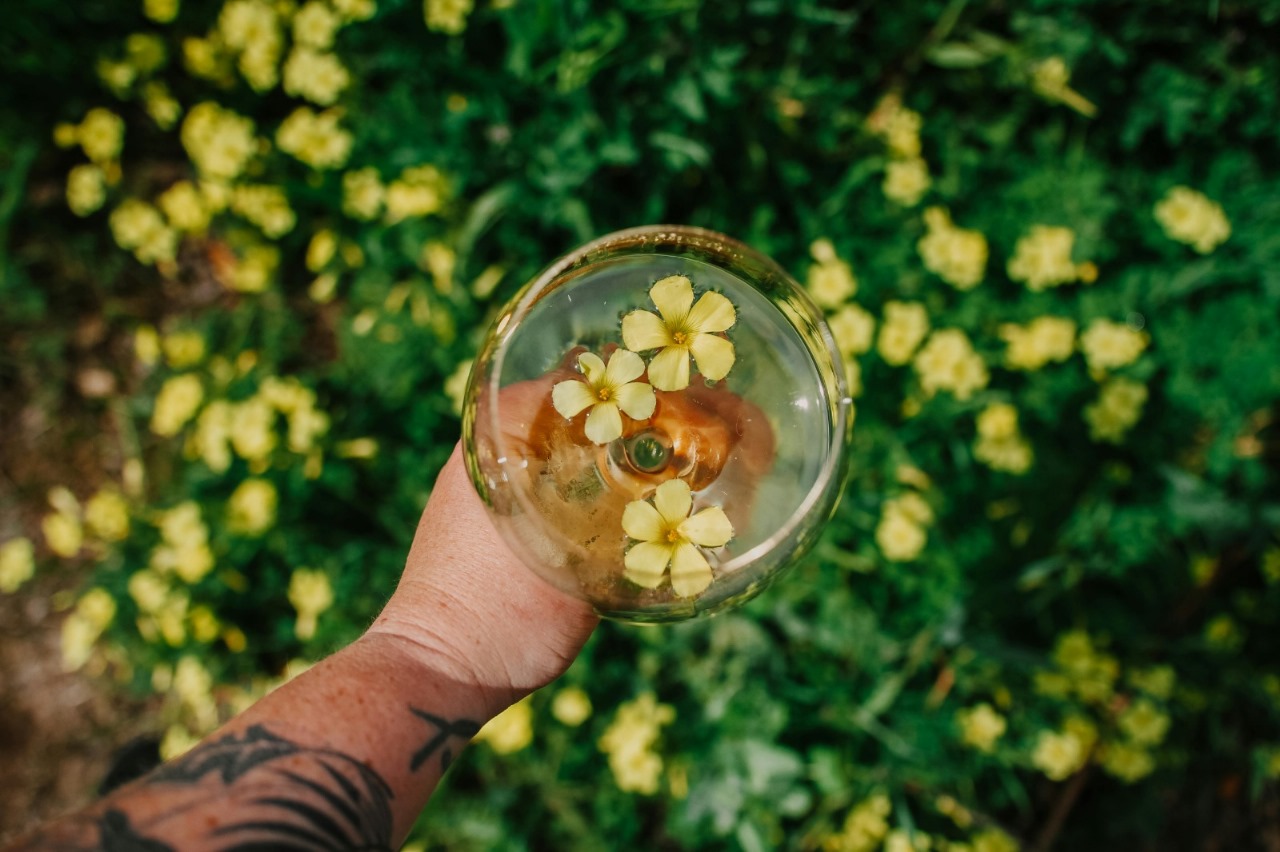 Why Sacramento Wineries Are Becoming California’s Wine Hotspot